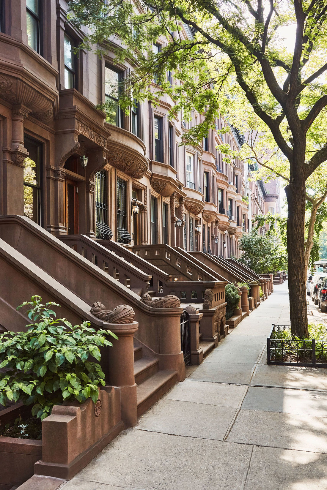 Brownstone Houses: The Enduring Charm of Brooklyn's Architectural Gems